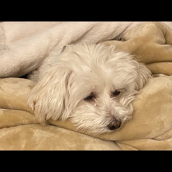 Meet your Posher, Lorraine - Picture 2 of 2